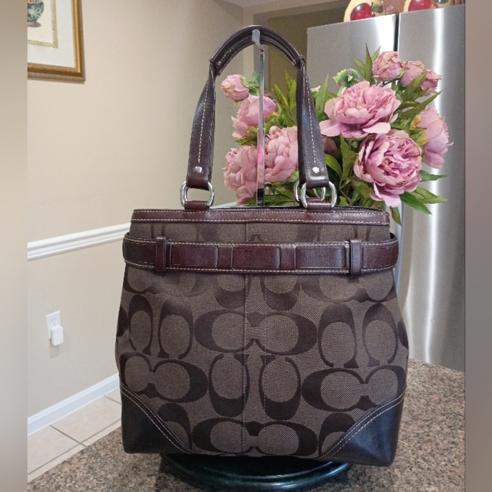Coach Hampton Signature Python Stripe Carryall Satchel - Picture 5 of 17